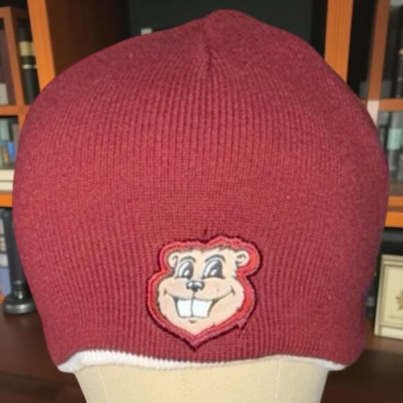 Minnesota Golden Gophers Logo Reversable Gopher Mascot Kniy Beanie Skull Cap - Picture 4 of 4